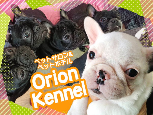 Orion Kennel