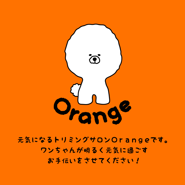 ڥåȥ Orange